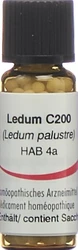 Omida Ledum Globuli 200 C