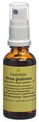 Spagyros Alnus glutinosa Glyc Maz 1 D