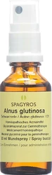 Spagyros Alnus glutinosa Glyc Maz 1 D