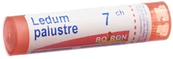 Boiron Ledum palustre Granulat 7 CH