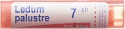 Boiron Ledum palustre Granulat 7 CH