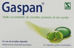 Gaspan Weichkaps magensaftresistent