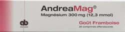 AndreaMag 300 mg mit Himbeeraroma