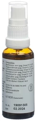 HEIDAK Echinacea plus Spray