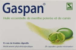 Gaspan Weichkaps magensaftresistent