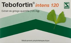 Tebofortin intens 120 Filmtablette 120 mg