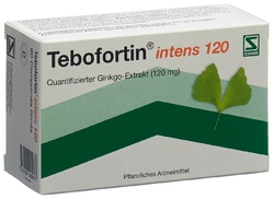 Tebofortin intens 120 Filmtablette 120 mg