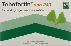 Tebofortin uno Filmtablette 240 mg