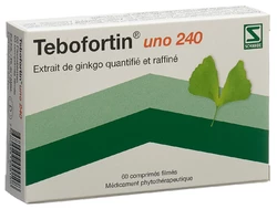 Tebofortin uno Filmtablette 240 mg