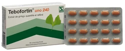 Tebofortin uno Filmtablette 240 mg