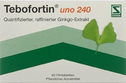 Tebofortin uno Filmtablette 240 mg