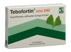 Tebofortin uno Filmtablette 240 mg