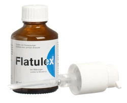 Flatulex Tropfen 41.2 mg/ml mit Dosierpumpe
