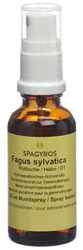 Spagyros fagus sylvatica mac glyc 1 D