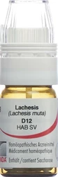 Omida lachesis glob 12 D avec doseur