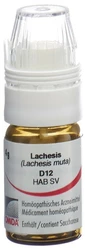 Omida Lachesis Globuli 12 D mit Dosierhilfe