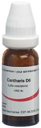 Omida Cantharis Globuli 6 D