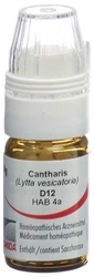 Omida Cantharis Globuli 12 D mit Dosierhilfe