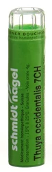 schmidt-nagel Thuya occidentalis Granulat 7 CH