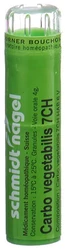 schmidt-nagel Carbo vegetabilis Granulat 7 CH