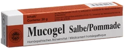 Mucogel Salbe