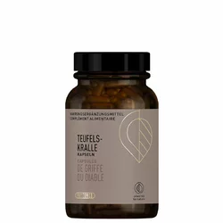 PHYTOMED Teufelskralle Kapsel