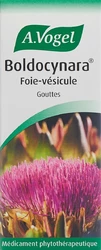 A. Vogel Boldocynara Boldocynr Leber-Glle Tropfen