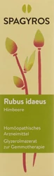 Spagyros Rubus idaeus Glyc Maz 1 D