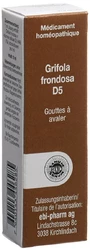 SANUM Grifola frondosa Tropfen 5 D