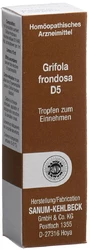SANUM Grifola frondosa Tropfen 5 D