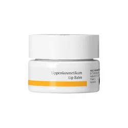 Dr. Hauschka Lippenkosmetikum