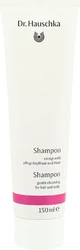 Dr. Hauschka Shampoo