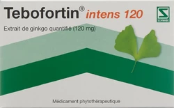 Tebofortin intens 120 Filmtablette 120 mg