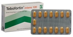 Tebofortin intens 120 Filmtablette 120 mg