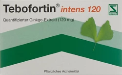 Tebofortin intens 120 Filmtablette 120 mg
