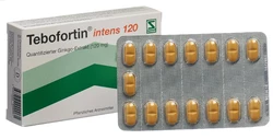Tebofortin intens 120 Filmtablette 120 mg
