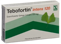 Tebofortin intens 120 Filmtablette 120 mg