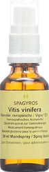 Spagyros Vitis vinifera Glyc Maz 1 D