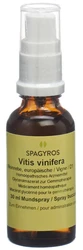 Spagyros Vitis vinifera Glyc Maz 1 D