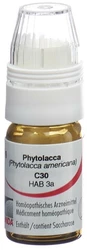 Omida Phytolacca Globuli 30 C mit Dosierhilfe