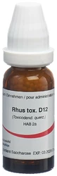 Omida Rhus toxicodendron Globuli 12 D