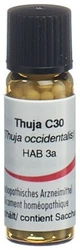Omida Thuja Globuli 30 C