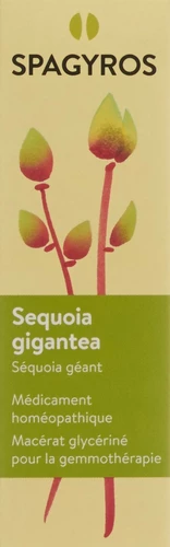 Image link