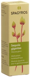 Spagyros Sequoia gigantea Glyc Maz 4 D