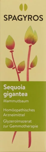Image link