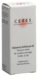 Ceres Dipsacus fullonum Urtinkt