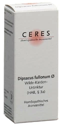 Ceres Dipsacus fullonum Urtinkt