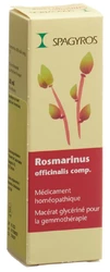 Spagyros Rosmarinus officinalis Glyc Maz 1 D