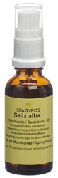 Spagyros salix alba mac glyc 1 D