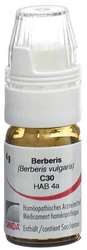 Omida Berberis Globuli 30 C mit Dosierhilfe